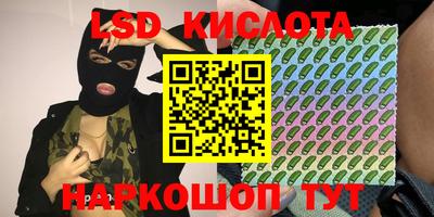 гашик Будённовск