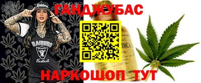 гашик Будённовск