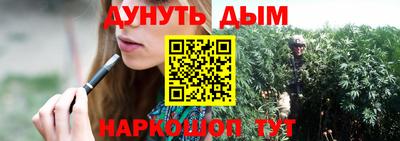 гашик Будённовск