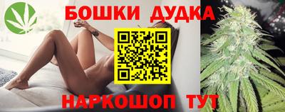 гашик Будённовск